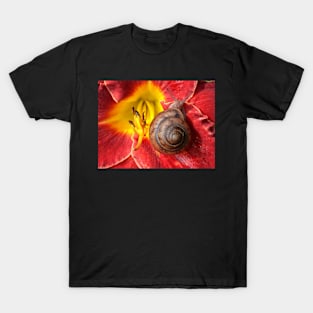 Snail On Hibiscus Flower T-Shirt